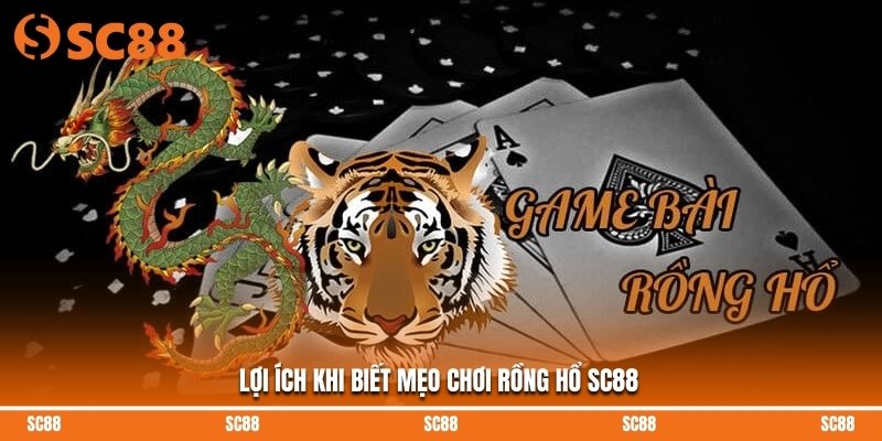 Lợi ích khi biết mẹo chơi rồng hổ SC88 